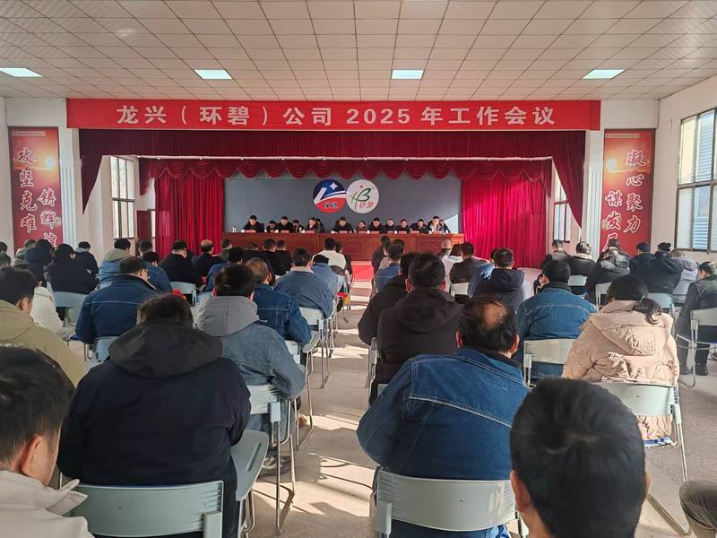 龙兴（竞技宝·JJB(中国)官方网站）公司召开2025年工作会议